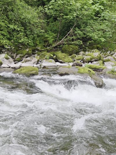 Washougal River State Park - Washougal, WA