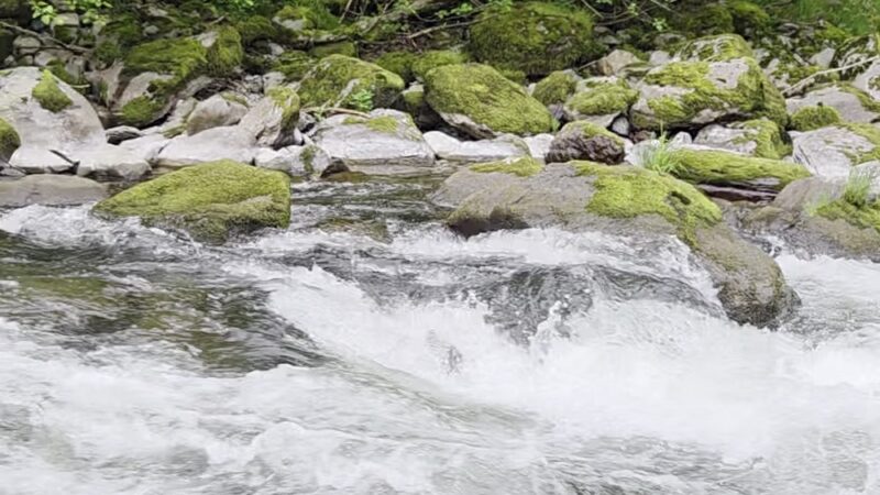 Washougal River State Park - Washougal, WA