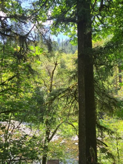 Washougal River State Park - Washougal, WA