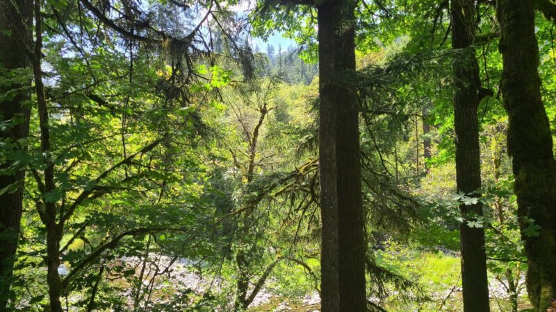 Washougal River State Park - Washougal, WA
