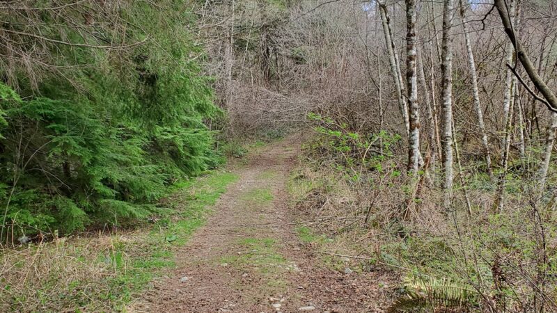 Washougal River State Park - Washougal, WA