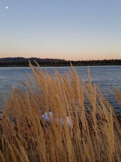 Washougal Waterfront Park - Washougal, WA