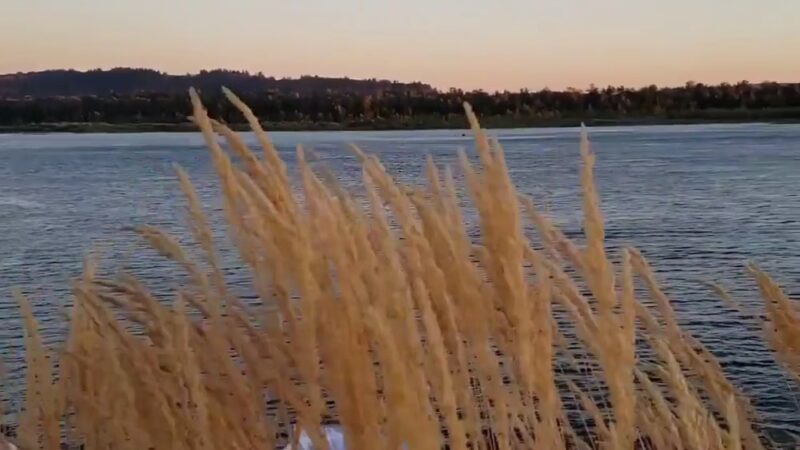 Washougal Waterfront Park - Washougal, WA