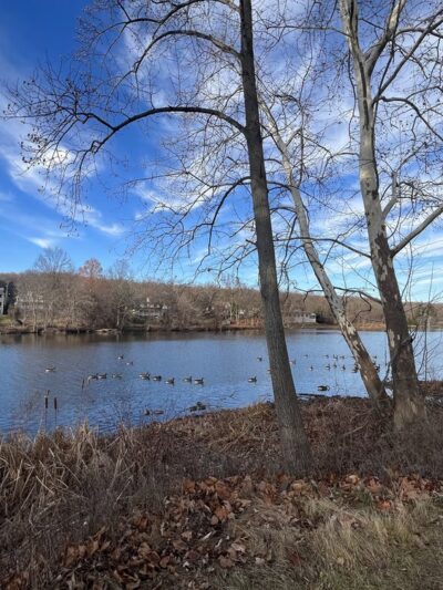 Watchung Lake - Watchung, NJ