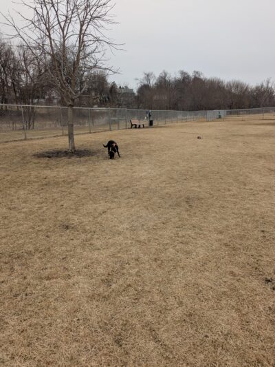 Maunesha River Dog Park - Waterloo, WI