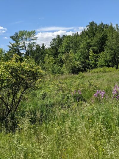 Black River Running Trail Head - Watertown, NY