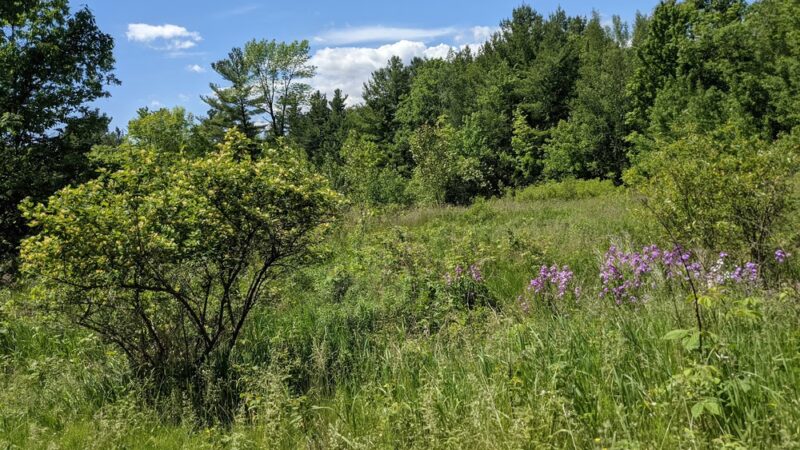 Black River Running Trail Head - Watertown, NY