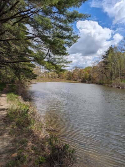 Oxbow Trail - Waterville, ME
