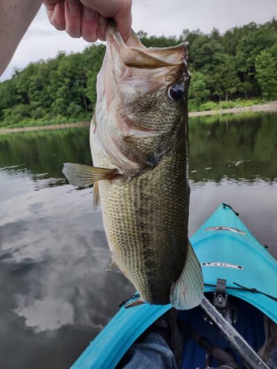Chittning Pond - Waterville, NY