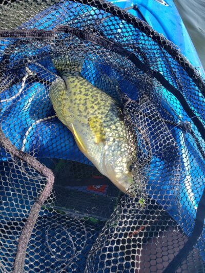 Chittning Pond - Waterville, NY