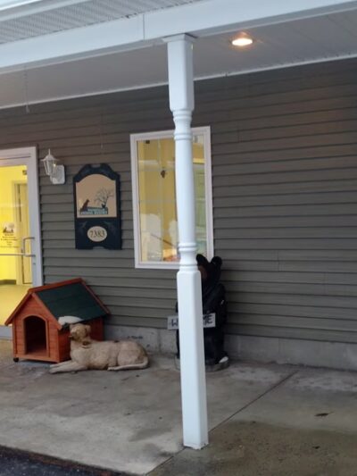 Waterville Animal Resort - Waterville, NY