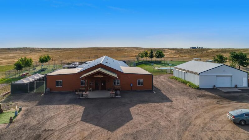 Doggie Dude Ranch and the O'Cat Corral - Watkins, CO