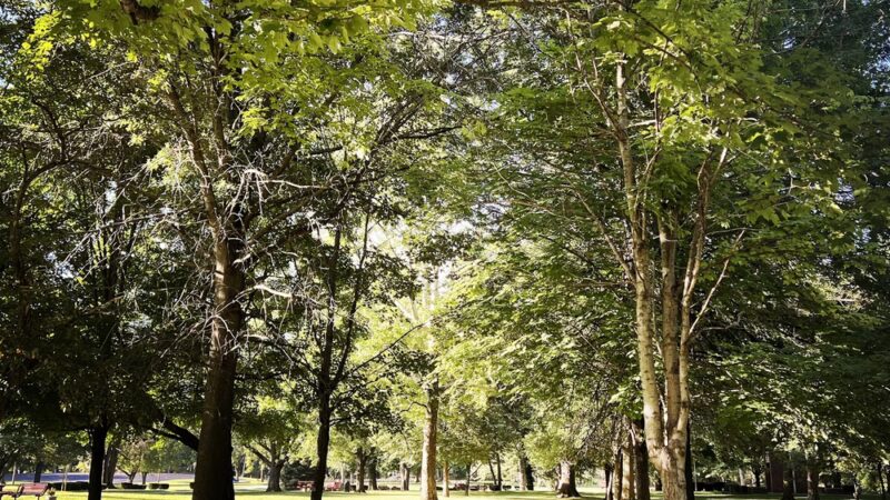 American Legion Park - Watseka, IL