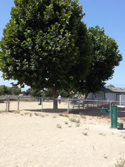Franich Dog Park Watsonville - Watsonville, CA