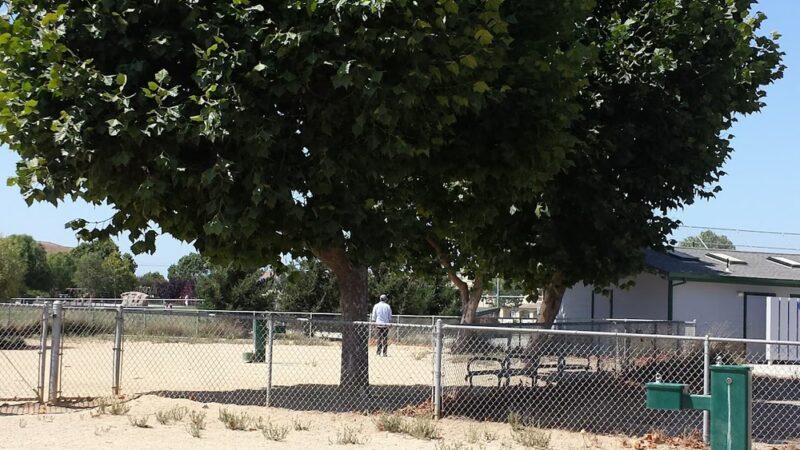Franich Dog Park Watsonville - Watsonville, CA