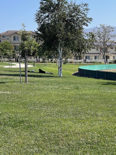 Franich Park - Watsonville, CA