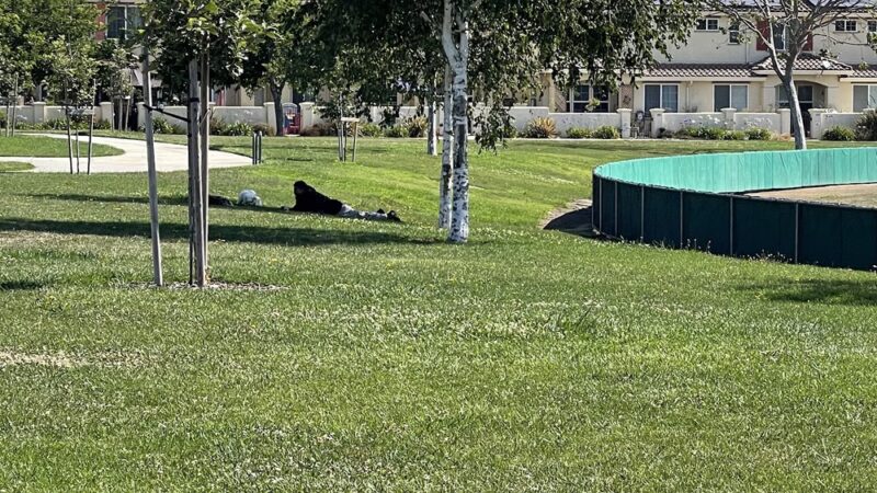 Franich Park - Watsonville, CA