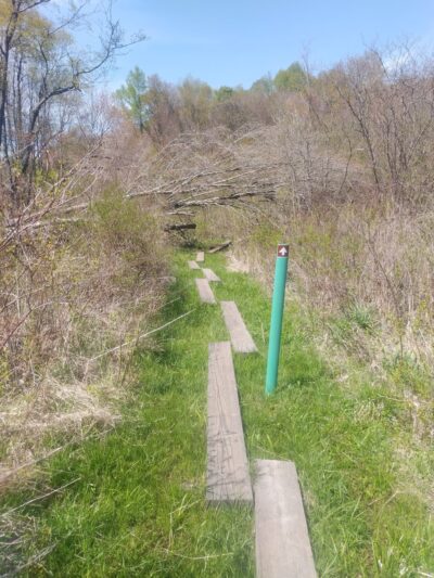 Nature Walk - Wattsburg, PA