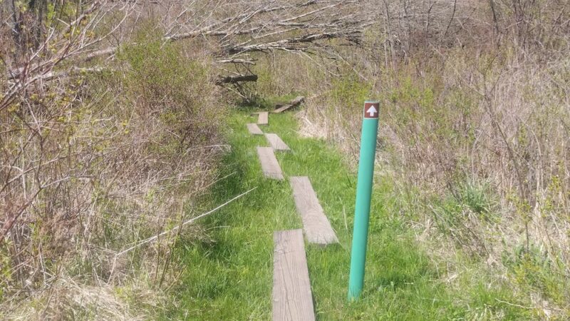 Nature Walk - Wattsburg, PA
