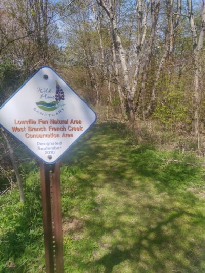 Nature Walk - Wattsburg, PA