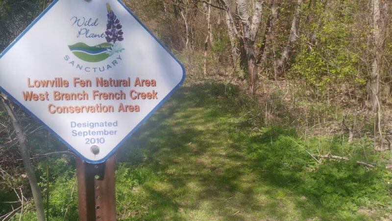 Nature Walk - Wattsburg, PA