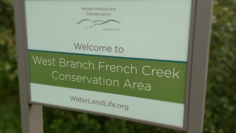 Nature Walk - Wattsburg, PA