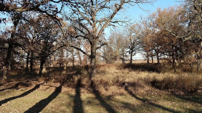 Lakewood Forest Preserve - Wauconda, IL