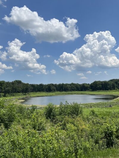 Lakewood Forest Preserve - Wauconda, IL