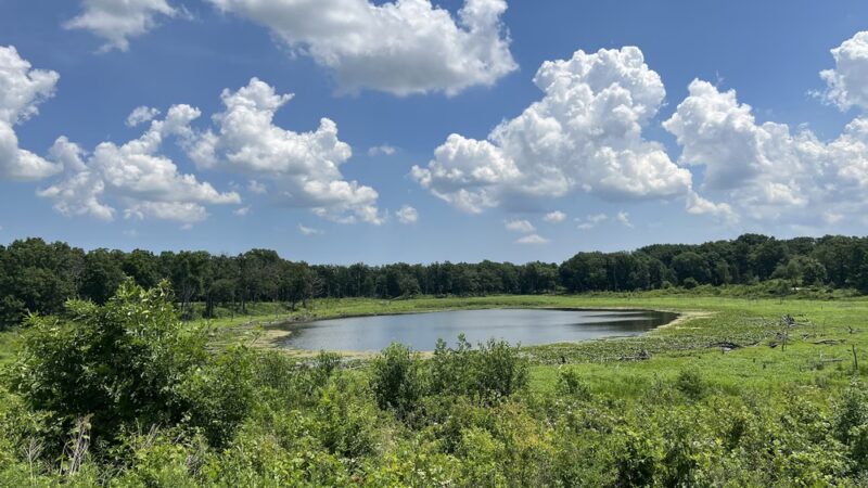 Lakewood Forest Preserve - Wauconda, IL