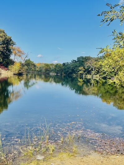 Lakewood Forest Preserve - Wauconda, IL