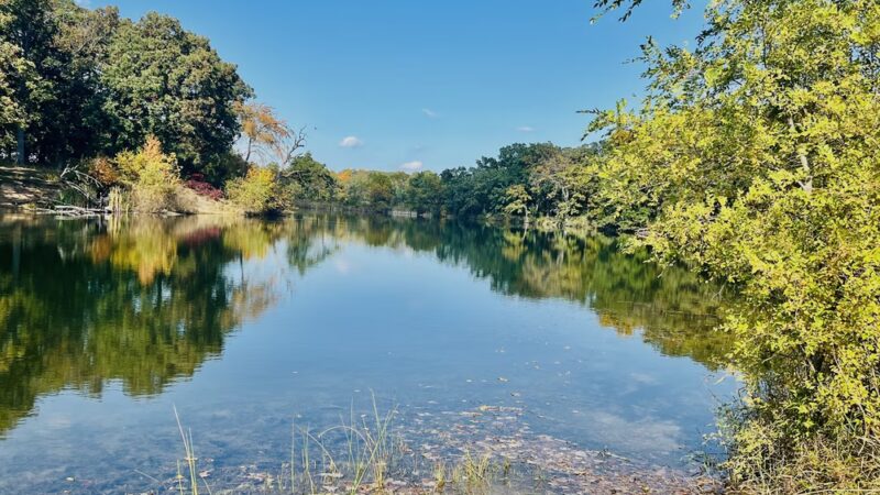 Lakewood Forest Preserve - Wauconda, IL