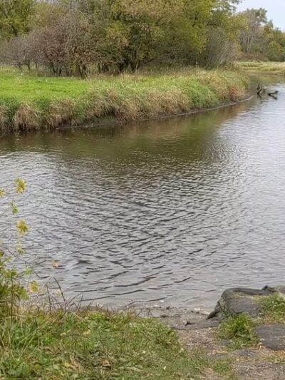 Fox River Park - Waukesha, WI