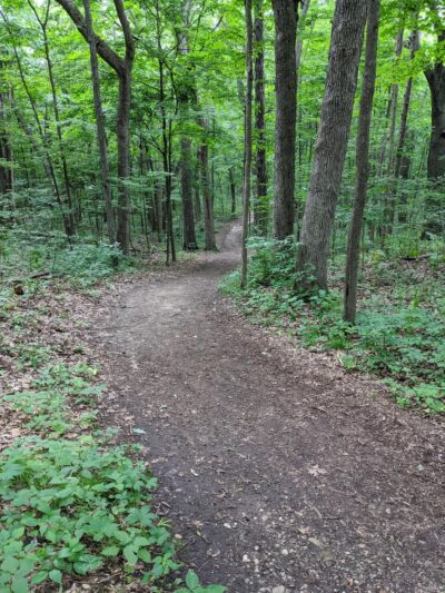 Fox River Park - Waukesha, WI