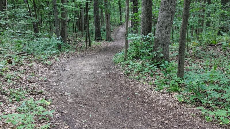 Fox River Park - Waukesha, WI