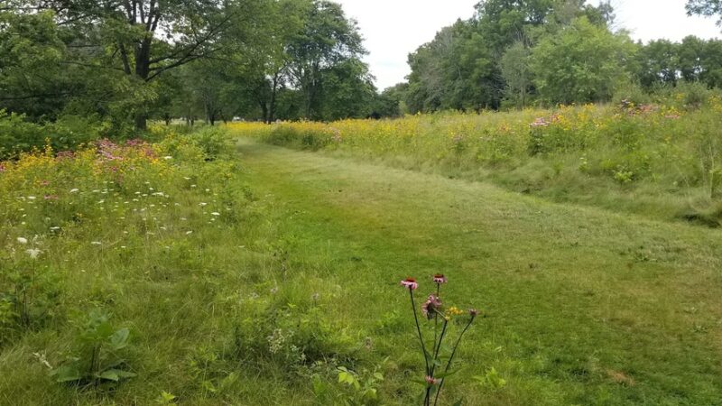 Minooka Park Pond - Waukesha, WI