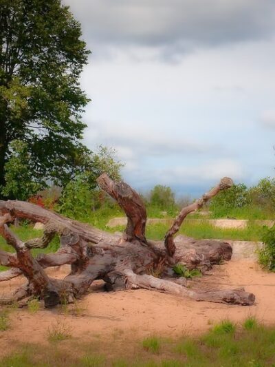 Akakawaa Park - Waukesha, WI
