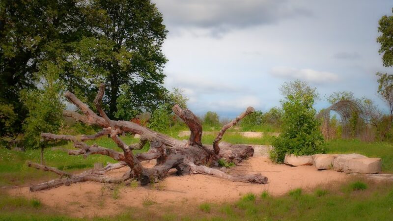 Akakawaa Park - Waukesha, WI