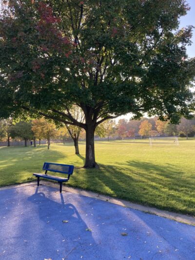 David's Park - Waukesha, WI
