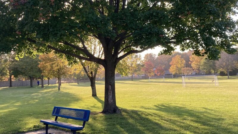 David's Park - Waukesha, WI