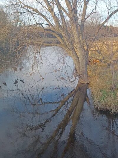 Fox River Park Boardwalk - Waukesha, WI