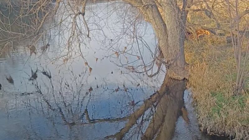 Fox River Park Boardwalk - Waukesha, WI