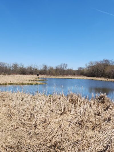 Fox River Park Boardwalk - Waukesha, WI