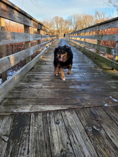 Fox River Park Boardwalk - Waukesha, WI