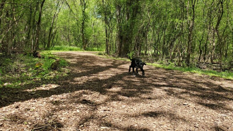 Mac Arthur Dog Run - Waukesha, WI