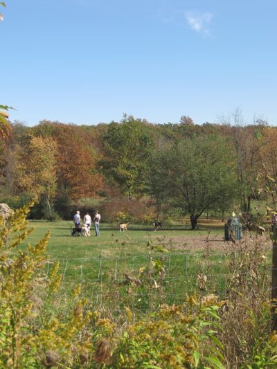 Minooka Park - Waukesha, WI