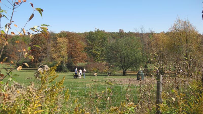 Minooka Park - Waukesha, WI
