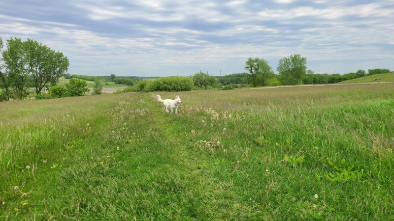 MRD Dog Exercise Area - Waunakee, WI