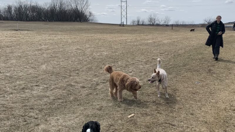MRD Dog Exercise Area - Waunakee, WI