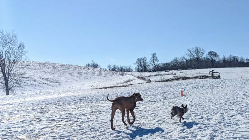 MRD Dog Exercise Area - Waunakee, WI