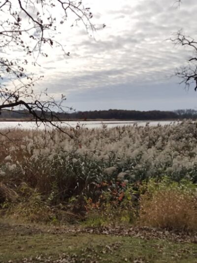 Yahara Heights County Park - Waunakee, WI